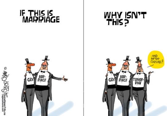 Picture Courtesy of  http://conservativebyte.com/2013/10/gay-marriage-question-3/#
